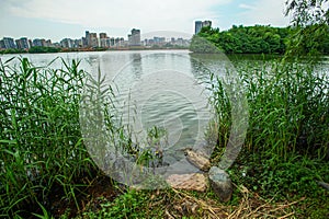 The dock of West Lake Park