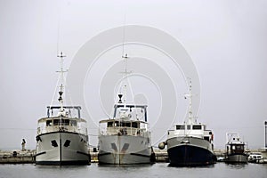 Docked fishing boats