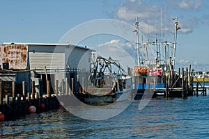 Docked Fishing Boats