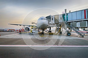 Docked jet aircraft in Dubai airport