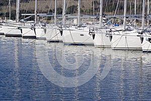 Docked sailboats photo