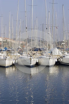 Docked sailboats