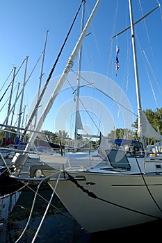 Docked Sailboats