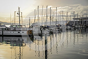 Docked sailboats at sunset