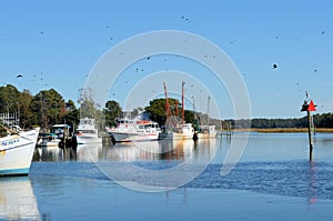 Docked Shrimp Boats Trawler Waterway
