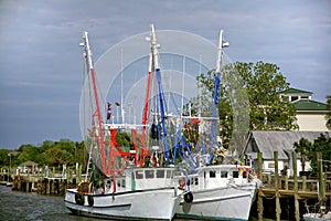 Docked Shrimp Boats