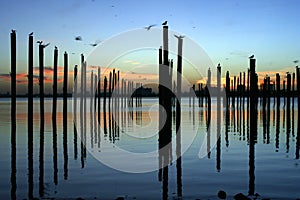 Docking poles at sunrise