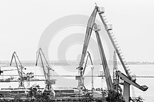 Dockyard cranes in Marine Trade Port