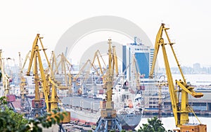 Dockyard cranes in Marine Trade Port