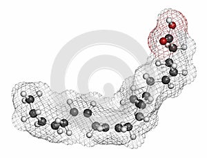 Docosahexaenoic acid (DHA, cervonic acid) molecule. Polyunsaturated omega-3 fatty acid present in fish oil. Atoms are represented