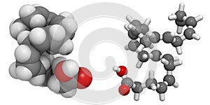 Docosahexaenoic acid (DHA, omega-3 fatty acid)