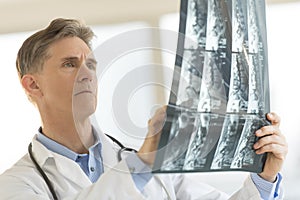 Doctor Analyzing X-Ray Report In Clinic