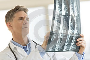 Doctor Analyzing X-Ray Report In Clinic photo