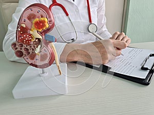 Doctor artificial kidney model with inflammation concept