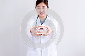 Doctor asian woman holding plastic teeth model,The concept of oral and dental health