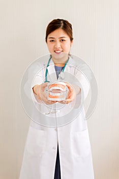 Doctor beautiful asian woman holding plastic teeth model on white background,Concept of oral and dental healthy