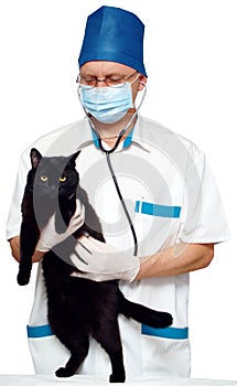 Doctor and a black cat on a white background.