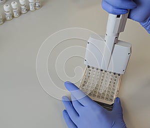 A doctor in blue, disposable, nitrile gloves performs a laboratory analysis by an immunoassay method. a blood test from a vein.