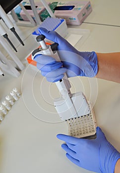 A doctor in blue, disposable, nitrile gloves performs a laboratory analysis by an immunoassay method. mechanical laboratory