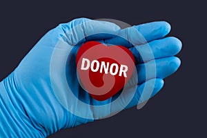 Doctor in blue gloves holds a heart with text Donor, concept