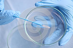 Doctor in blue rubber gloves holding cytobrush over petri dish closeup photo