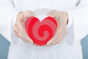 Doctor cardiologist holding a heart in his hands. Cardiology and heart disease concept.