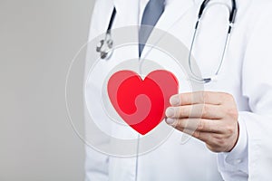 Doctor cardiologist holding a heart in his hands. Cardiology and heart disease concept.