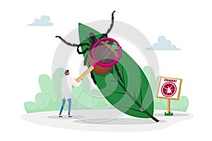 Doctor Character with Magnifying Glass Stand at Huge Leaf with Tick and Warning Sign with Mite Image