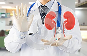 Doctor check 3D kidney urology photo