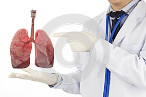Doctor check respiratory of lung photo