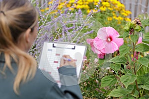 doctor checking flowers