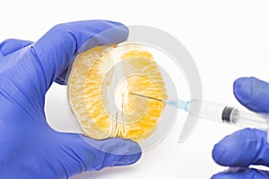 Doctor cosmetologist injects orange into the concept of the labioplasty procedure, reducing or increasing the correction photo