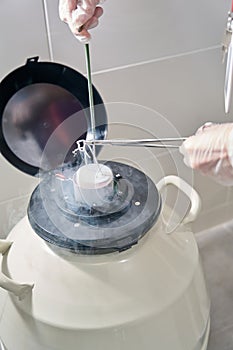Doctor cryostorage puts biomaterial for vitrification into tank liquid nitrogen