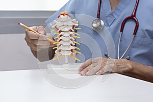 Doctor demonstrate cervical spine model