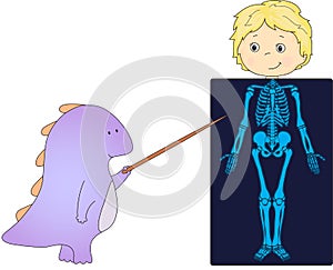 Doctor dragon and patient whose body is shown in the X-ray. Vector illustration for kids about anatomy and structure