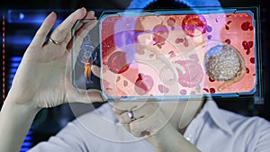 Doctor with futuristic hud screen tablet.Ebola. Bacteria, virus, microbe.