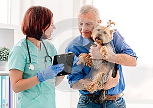 Doctor giving prescriptions to yorkshire terrier dog