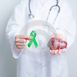 Doctor with green ribbon and human Liver anatomy model. Liver cancer October awareness month, Tumor, Jaundice, Virus Hepatitis,
