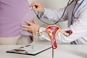 Doctor gynecologist listens to the belly of a pregnant girl through a stethoscope. The concept of tracking the movement of the