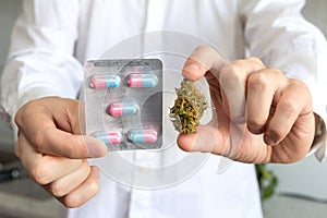 Doctor hand holding bud of medical cannabis and pills