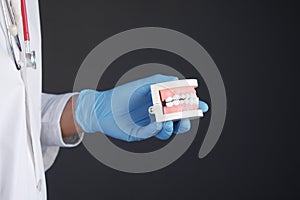 doctor hand holding plastic dental teeth model on table