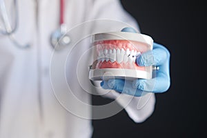 doctor hand holding plastic dental teeth model on table