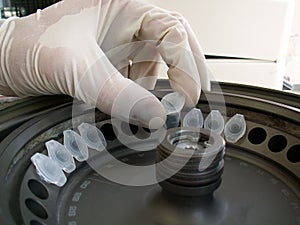 Doctor hand placing test tubes in centrifuge photo