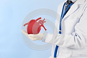 Doctor hold heart check heart disease , cardiology symptoms