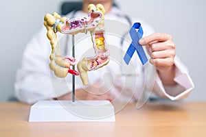 Doctor holding Blue ribbon with human Colon anatomy model. March Colorectal Cancer Awareness month, Colonic disease, Large photo