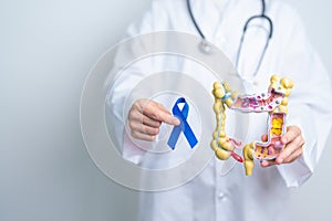 Doctor holding Blue ribbon with human Colon anatomy model. March Colorectal Cancer Awareness month, Colonic disease, Large photo