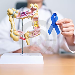 Doctor holding Blue ribbon with human Colon anatomy model. March Colorectal Cancer Awareness month, Colonic disease, Large photo
