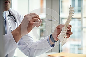 Doctor holding a model of a human spine