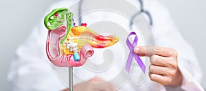 Doctor holding Purple ribbon with human Pancreas model for support Pancreatic cancer November awareness month, Pancreatitis,