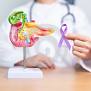 Doctor holding Purple ribbon with human Pancreas model for support Pancreatic cancer November awareness month, Pancreatitis,